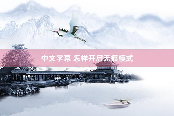 中文字幕 怎样开启无痕模式
