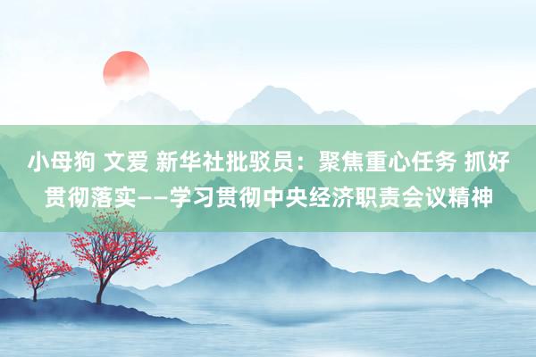 小母狗 文爱 新华社批驳员：聚焦重心任务 抓好贯彻落实——学习贯彻中央经济职责会议精神
