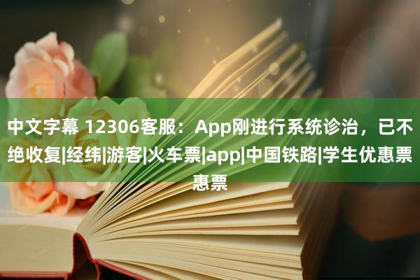 中文字幕 12306客服：App刚进行系统诊治，已不绝收复|经纬|游客|火车票|app|中国铁路|学生优惠票