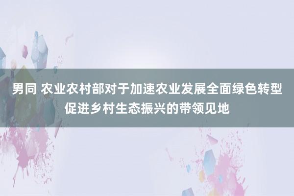 男同 农业农村部对于加速农业发展全面绿色转型促进乡村生态振兴的带领见地