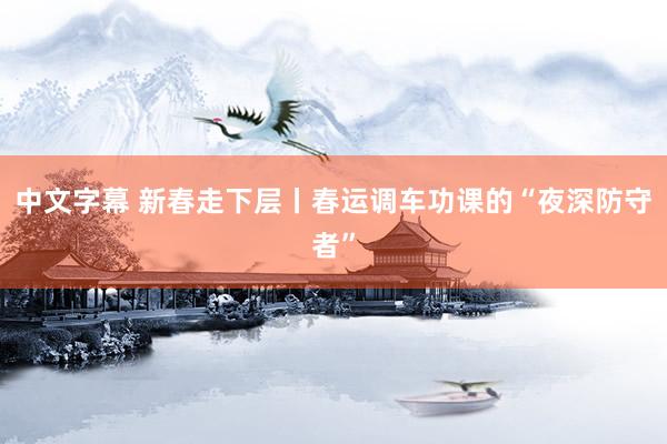 中文字幕 新春走下层丨春运调车功课的“夜深防守者”