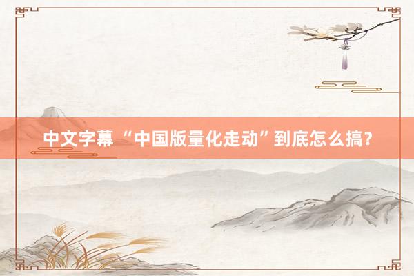 中文字幕 “中国版量化走动”到底怎么搞？