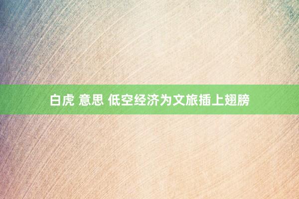 白虎 意思 低空经济为文旅插上翅膀