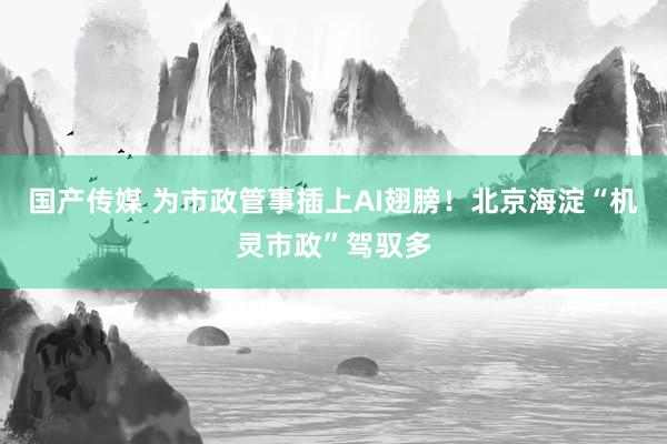 国产传媒 为市政管事插上AI翅膀！北京海淀“机灵市政”驾驭多