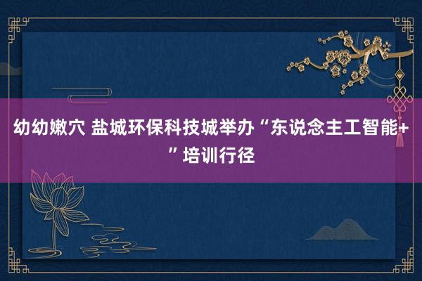 幼幼嫩穴 盐城环保科技城举办“东说念主工智能+”培训行径
