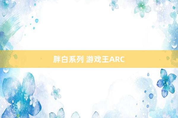 胖白系列 游戏王ARC