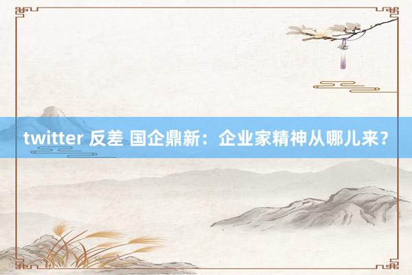 twitter 反差 国企鼎新：企业家精神从哪儿来？