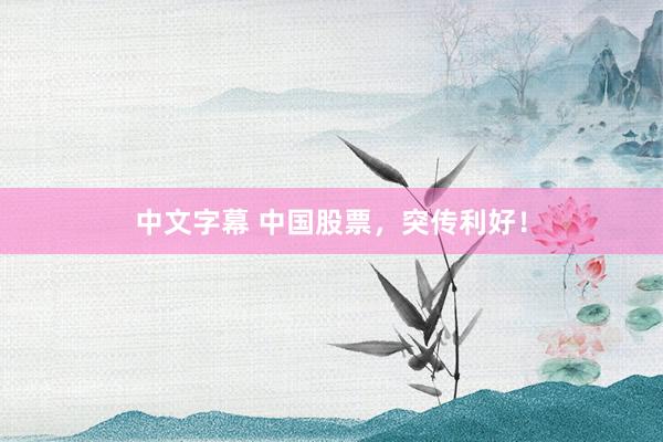 中文字幕 中国股票，突传利好！
