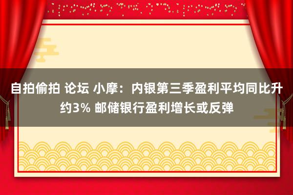自拍偷拍 论坛 小摩：内银第三季盈利平均同比升约3% 邮储银行盈利增长或反弹