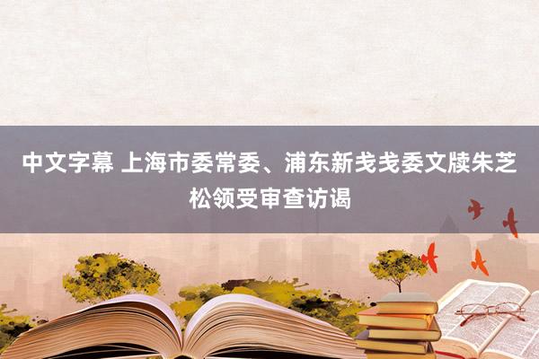 中文字幕 上海市委常委、浦东新戋戋委文牍朱芝松领受审查访谒