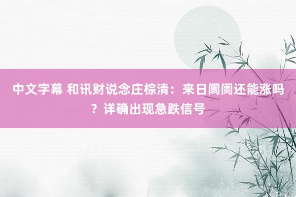 中文字幕 和讯财说念庄棕清：来日阛阓还能涨吗？详确出现急跌信号