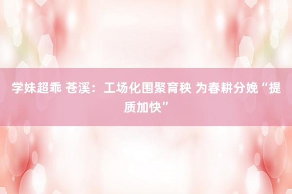 学妹超乖 苍溪：工场化围聚育秧 为春耕分娩“提质加快”